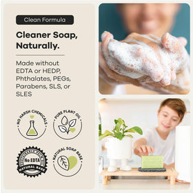 Australian Botanical Soap tea tree bar beside sage extract indicating clarifying benefits