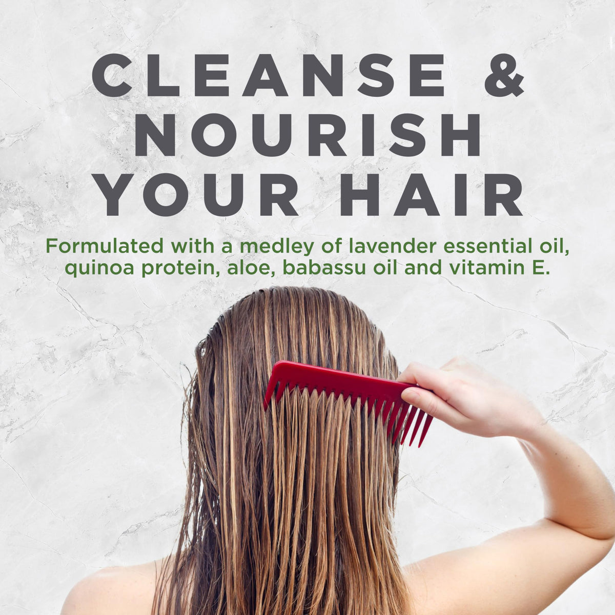 Avalon Organics key ingredients flatlay with lavender and botanicals for nourishment