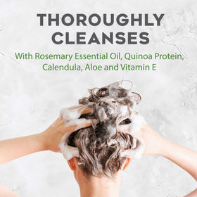 Avalon Organics rosemary and quinoa close-up showing botanical ingredients for lift