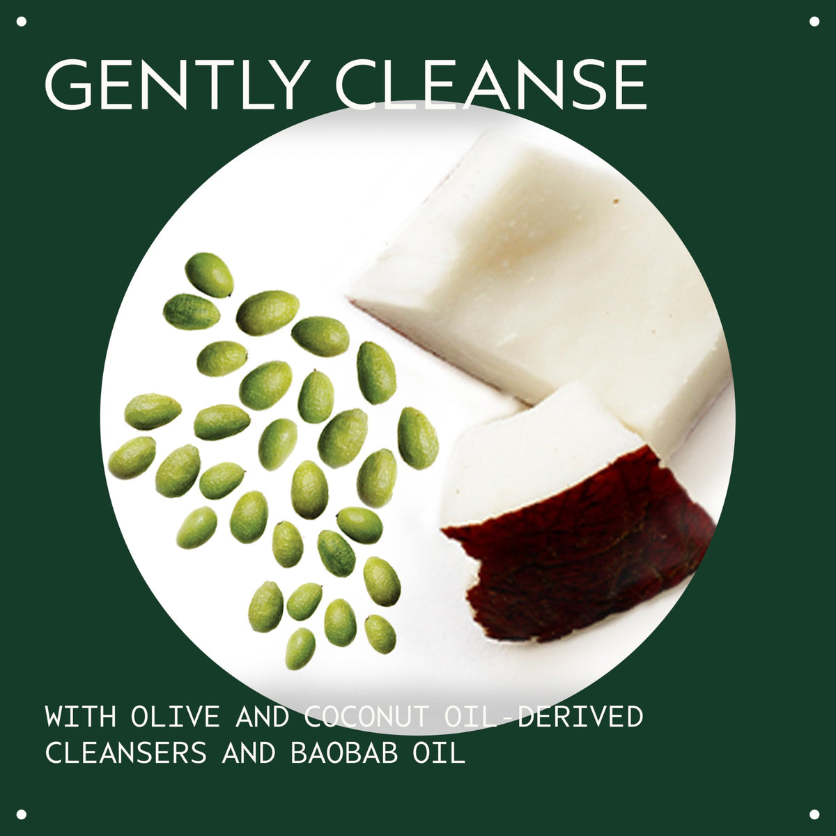 Aveda certified organic baobab oil ingredient supporting barrier