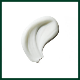 Kokum seed butter ingredient visual with Aveda for conditioning and reduced breakage