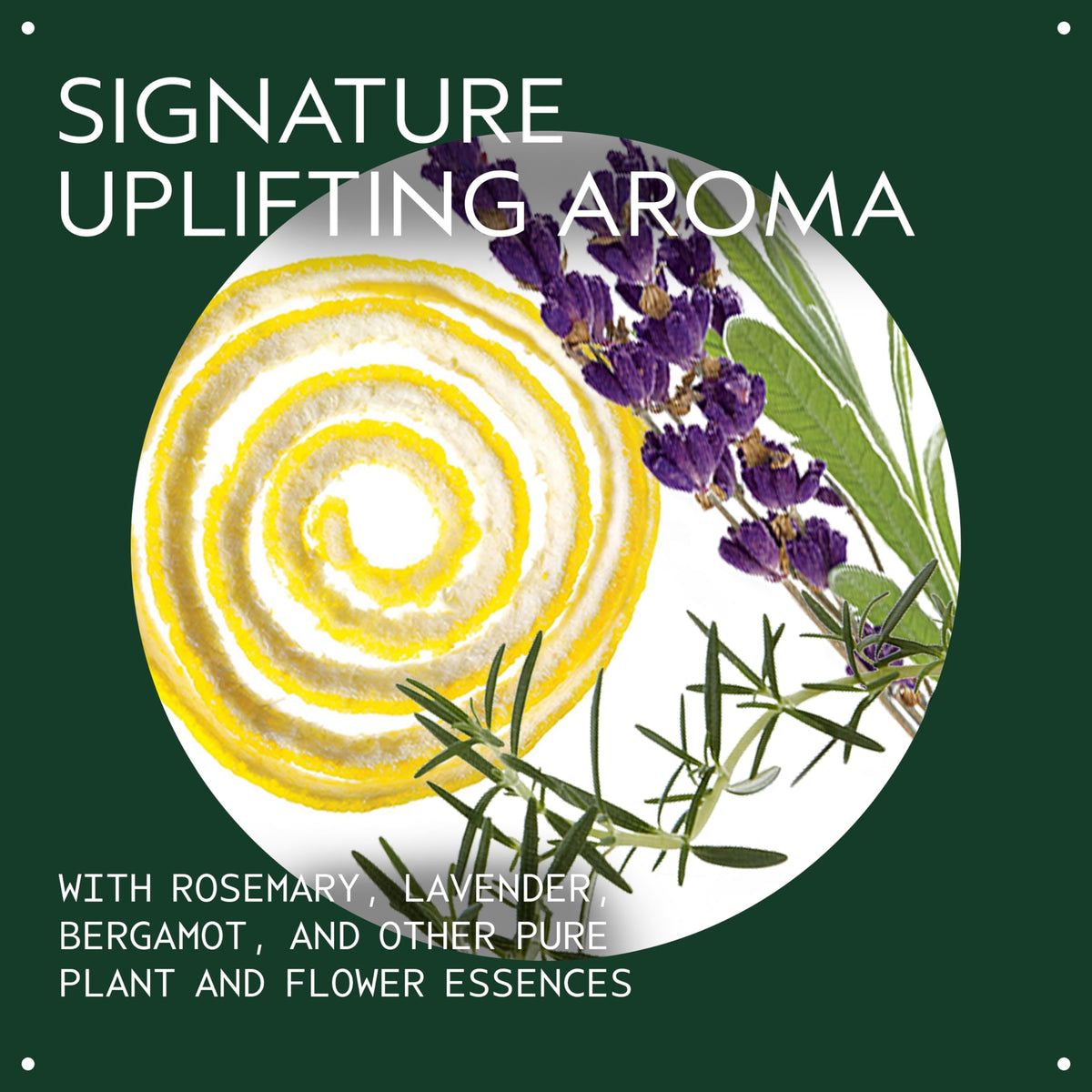 Aveda Beautifying Body Lotion ingredients label highlighting certified organic shea butter and plant-derived oils for clean beauty