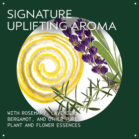 Aveda Beautifying Body Lotion ingredients label highlighting certified organic shea butter and plant-derived oils for clean beauty
