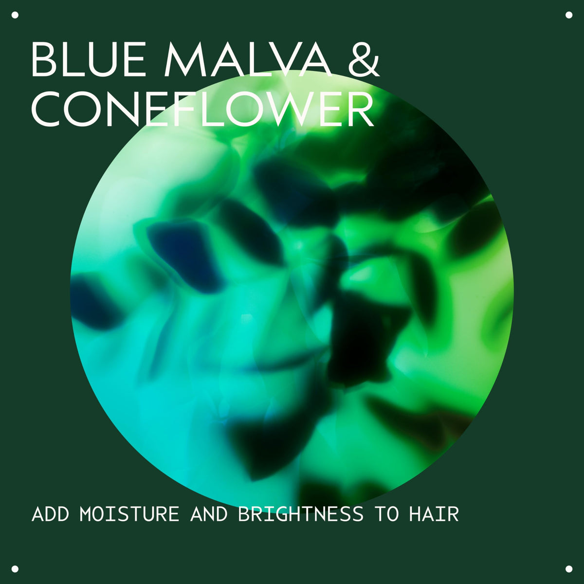 Aveda Blue Malva applied to blonde hair mid-lengths demonstrates toning benefit