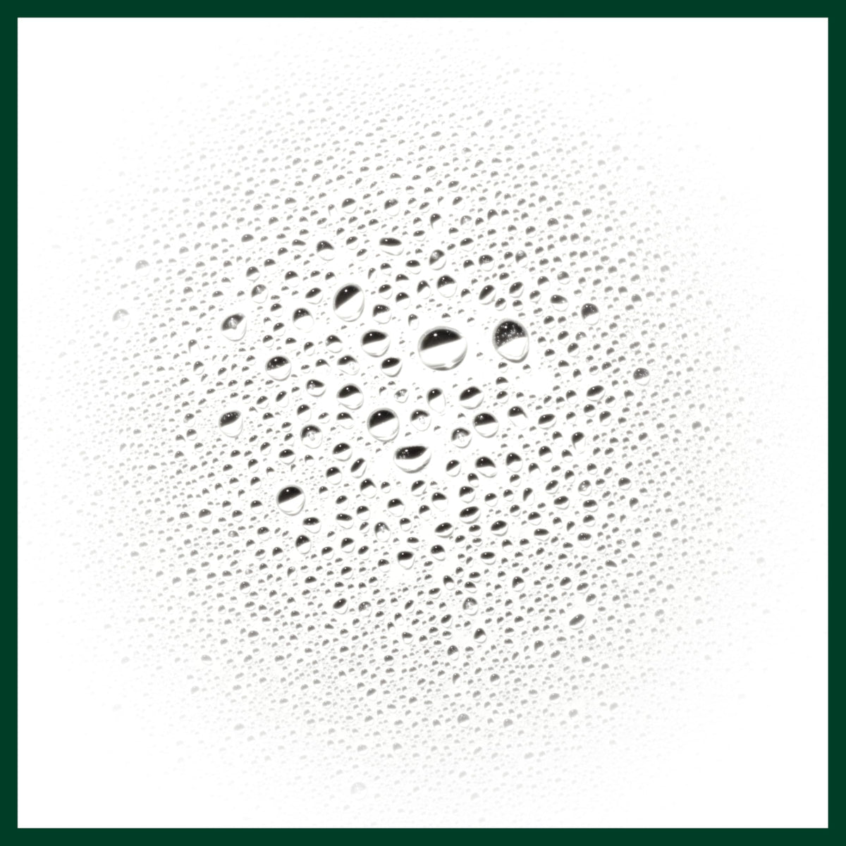 Centella and andrographis botanicals representing Aveda natural ingredients and antioxidant support