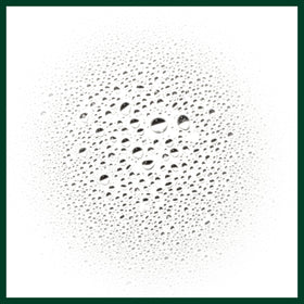 Centella and andrographis botanicals representing Aveda natural ingredients and antioxidant support