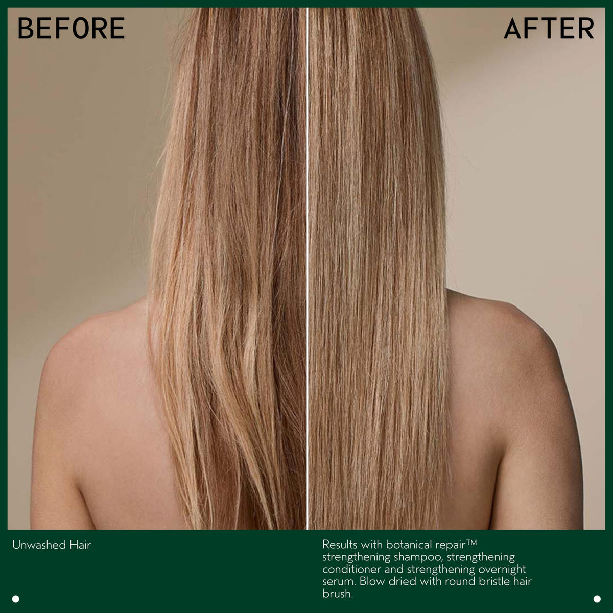 Aveda ingredient oils display with avocado and nangai for nourishment