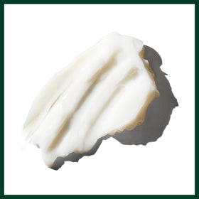 Aveda Brilliant conditioner paired with Brilliant shampoo showing enhanced shine benefit