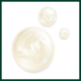 Aveda shampoo paired with conditioner showing coordinated routine