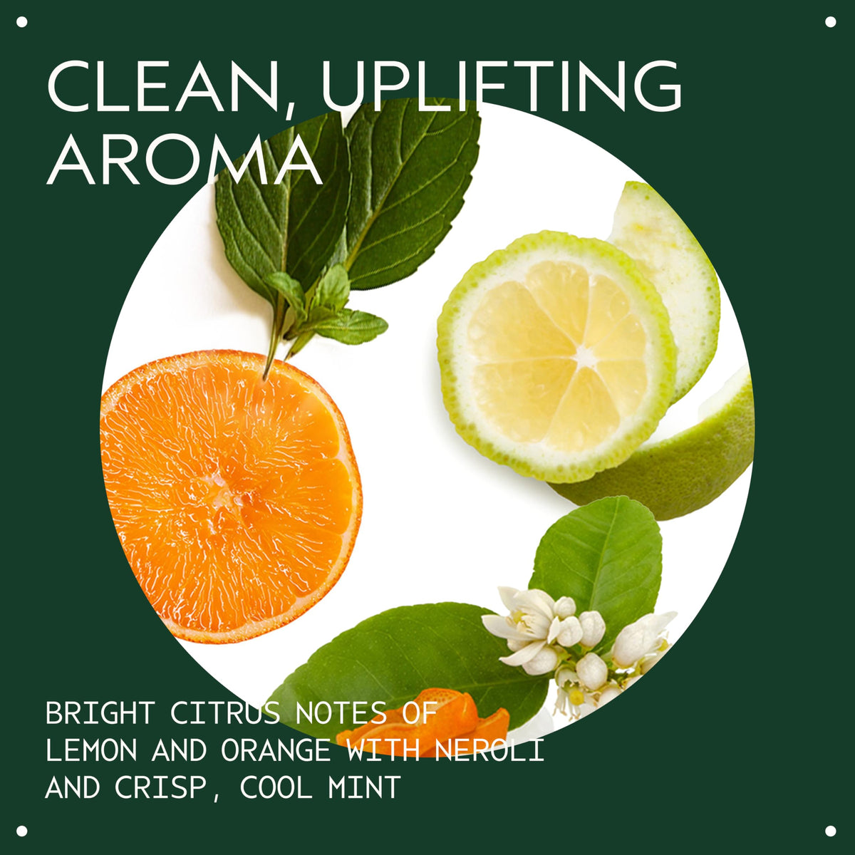 Aveda conditioner poured on hand demonstrating lightweight spreadability