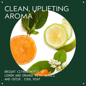 Aveda conditioner poured on hand demonstrating lightweight spreadability