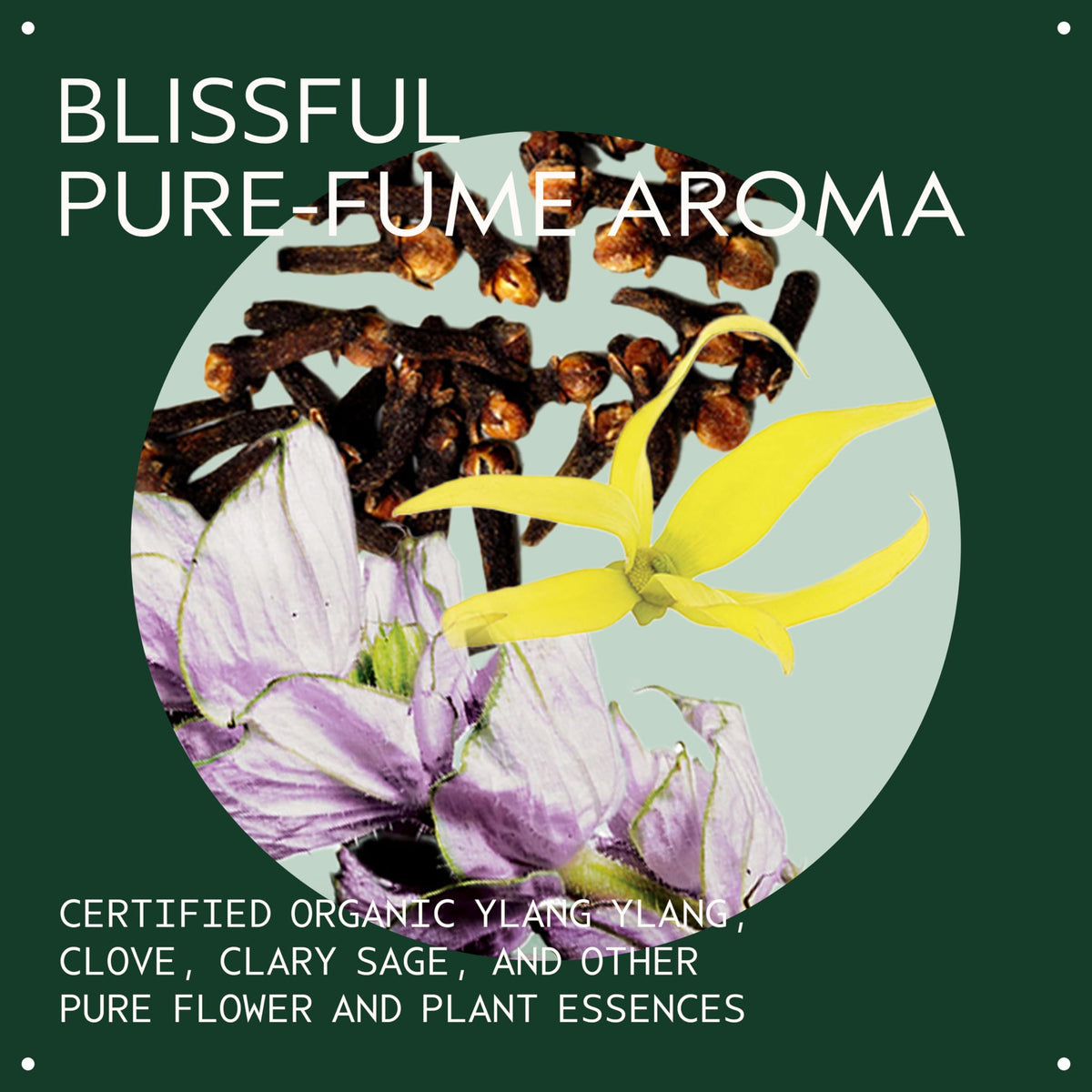 Aveda control paste with ylang ylang and clary sage illustrating botanical ingredients benefit