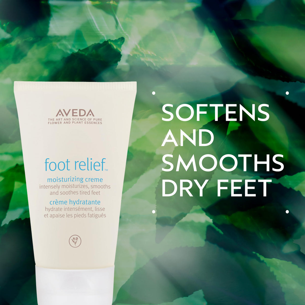 Aveda label close-up highlighting botanicals and clean-formula benefit