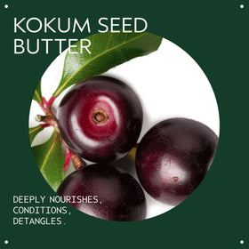 Aveda kokum seed butter close-up ingredient showing nourishing benefit