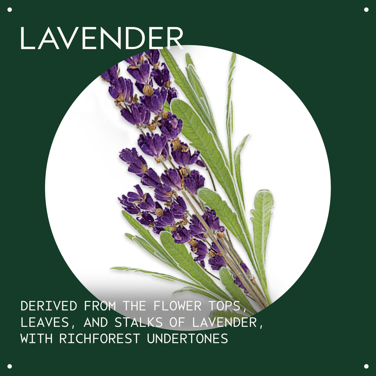 Aveda lavender oil close-up texture on palm illustrating lightweight absorption