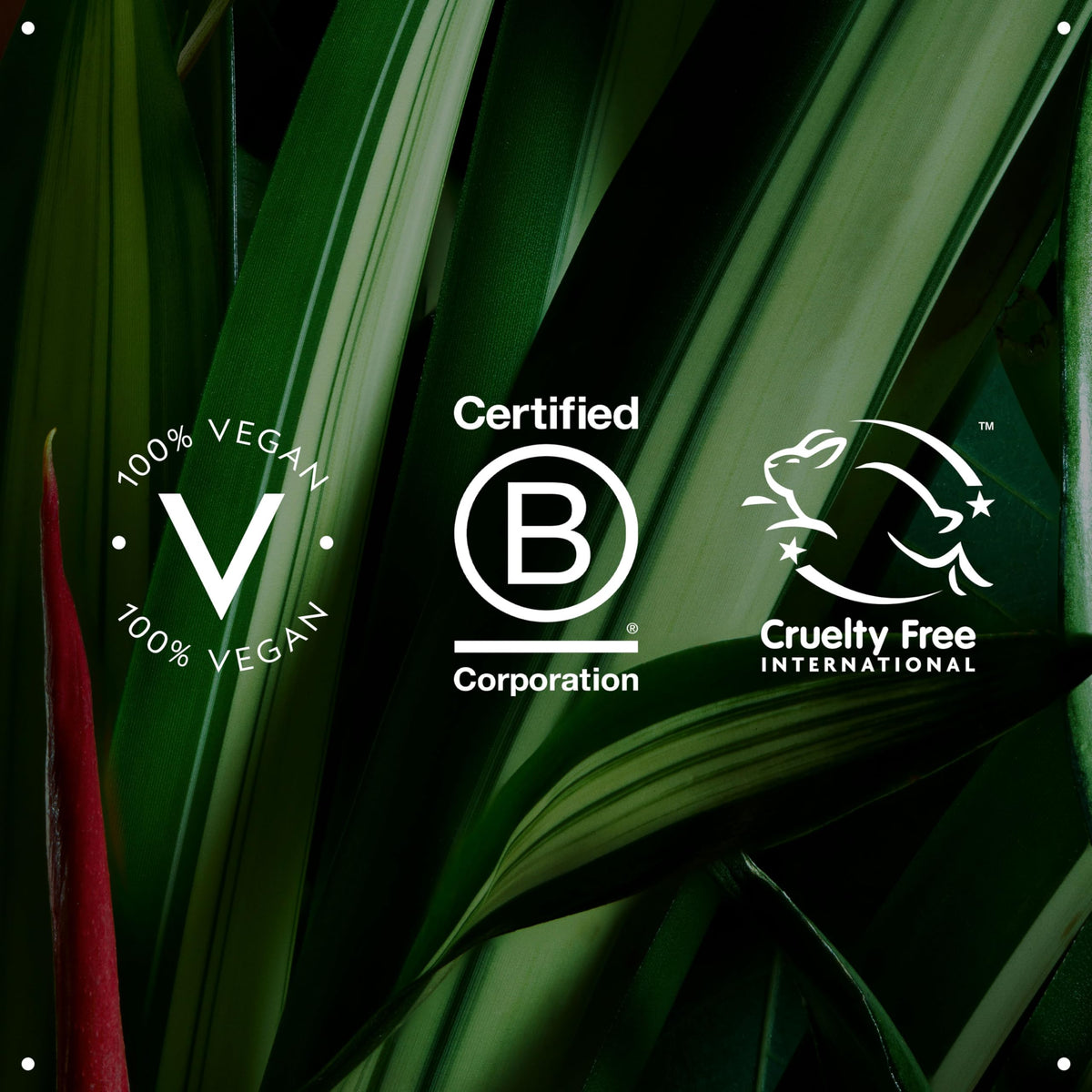 Aveda Men label with certification icons showing vegan and cruelty-free benefit