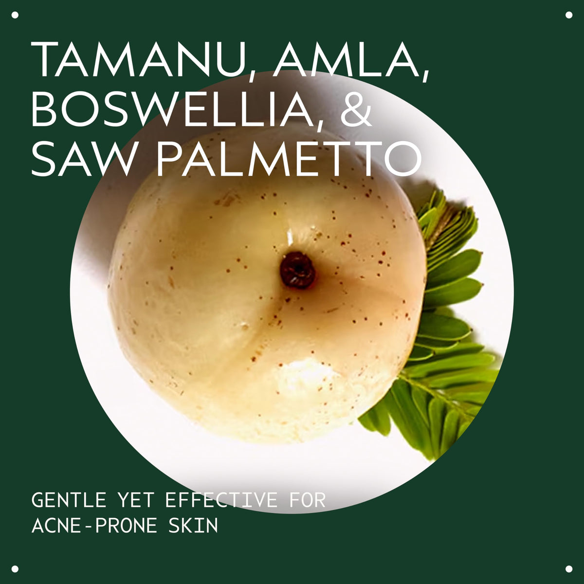 Aveda Outer Peace foam texture in hand highlighting gentle lathering benefit