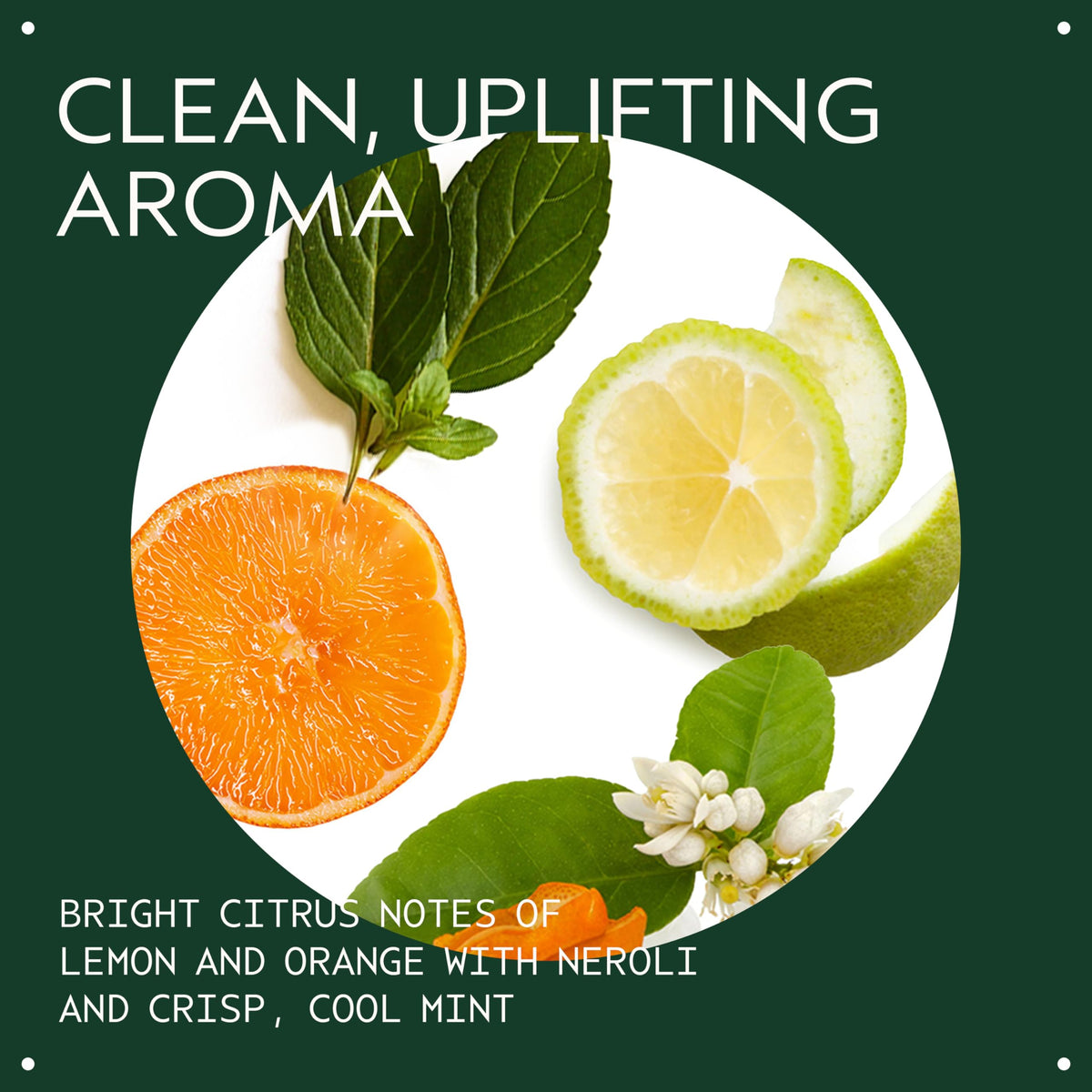 Aveda pump dispensing shampoo illustrating easy application and measured use for convenience