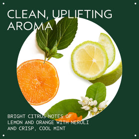 Aveda pump dispensing shampoo illustrating easy application and measured use for convenience