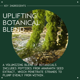 Amaranth seed visual representing Aveda botanical extract for strand plumping