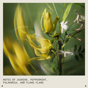 Aveda Pure Abundance ingredients label highlighting amaranth extract