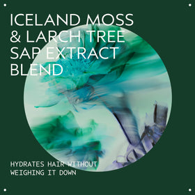 Aveda Sap Moss cream texture close-up showing lightweight hydration