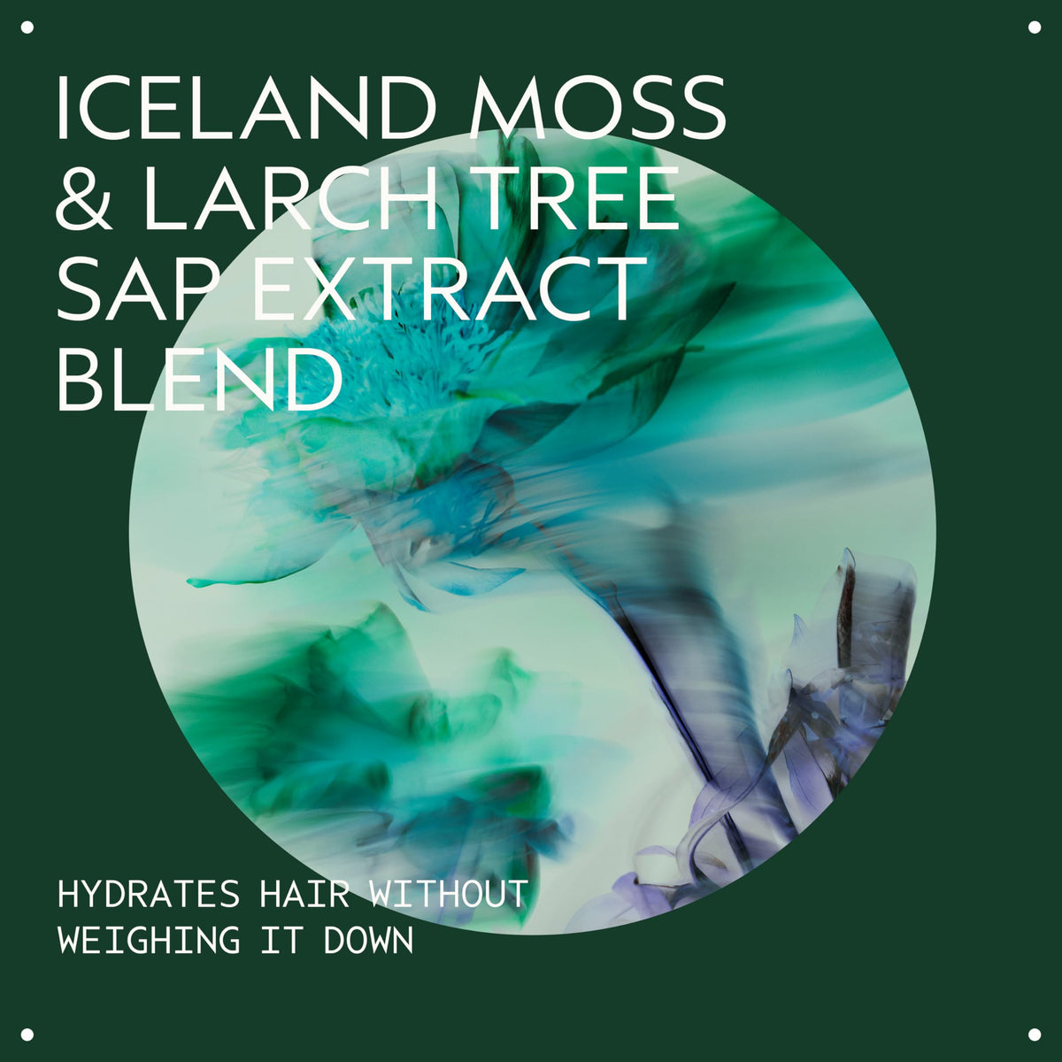 Aveda sap moss shampoo lather texture demonstrating gentle foam and hydration