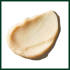 Aveda Sap Moss paired with shampoo illustrating combined hydration benefits