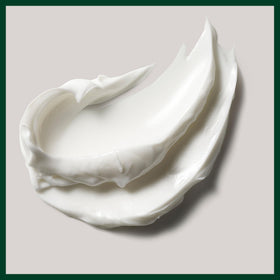 Close-up of sea algae and organic shea butter near Aveda product highlighting natural ingredients