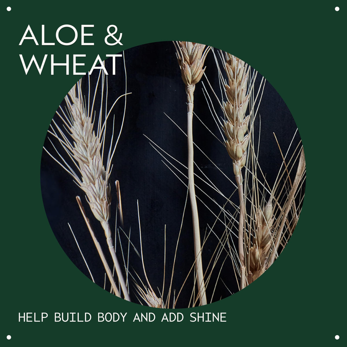 Aveda volumizing hair tonic applied at roots demonstrating added body