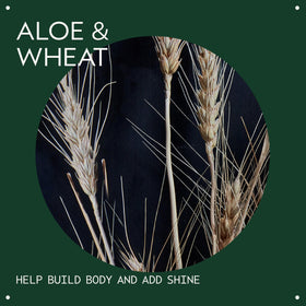 Aveda volumizing hair tonic applied at roots demonstrating added body