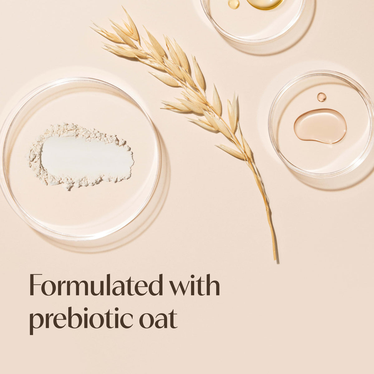 Aveeno bottle label close-up highlighting prebiotic oat ingredient