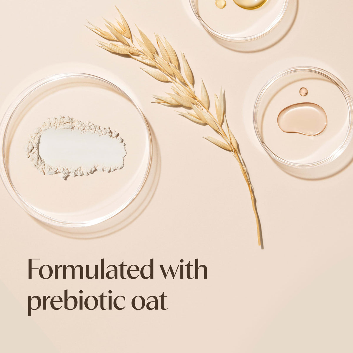 Aveeno prebiotic oat ingredients closeup emphasizing soothing nourishment