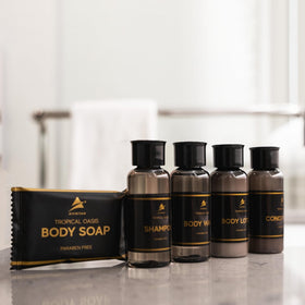 Avistar set staged in bathroom showing guest-ready professional appearance
