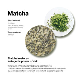 B_LAB matcha before and after pore illustration showing sebum control