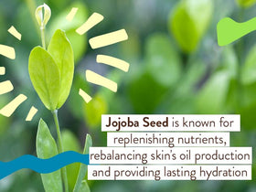 Babo Botanicals tinted sunscreen on hand demonstrating blendability