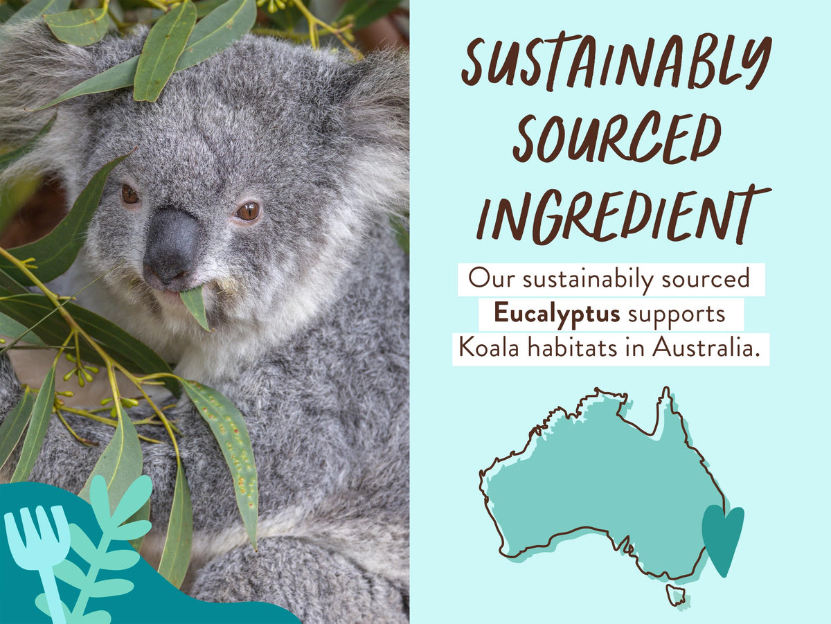 Babo Botanicals pump and label detail highlighting eucalyptus and certifications