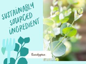 Babo Botanicals recycled bottle close-up showing sustainable packaging benefit