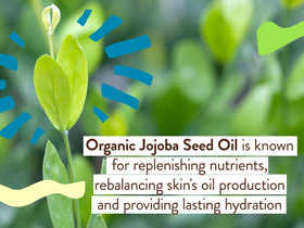 Babo Botanicals family applying sunscreen outdoors showing gentle family-friendly protection