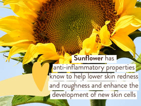 Babo Botanicals family at pool using sunscreen for active water protection