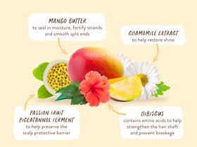 Babo Botanicals before and after hair ends, visibly smoother and less frizzy