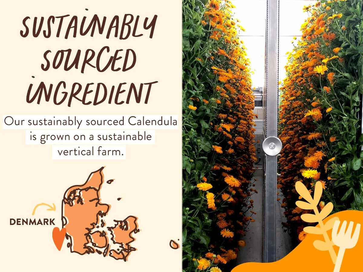 BABO Botanicals oat and calendula botanicals displayed to show natural nourishment
