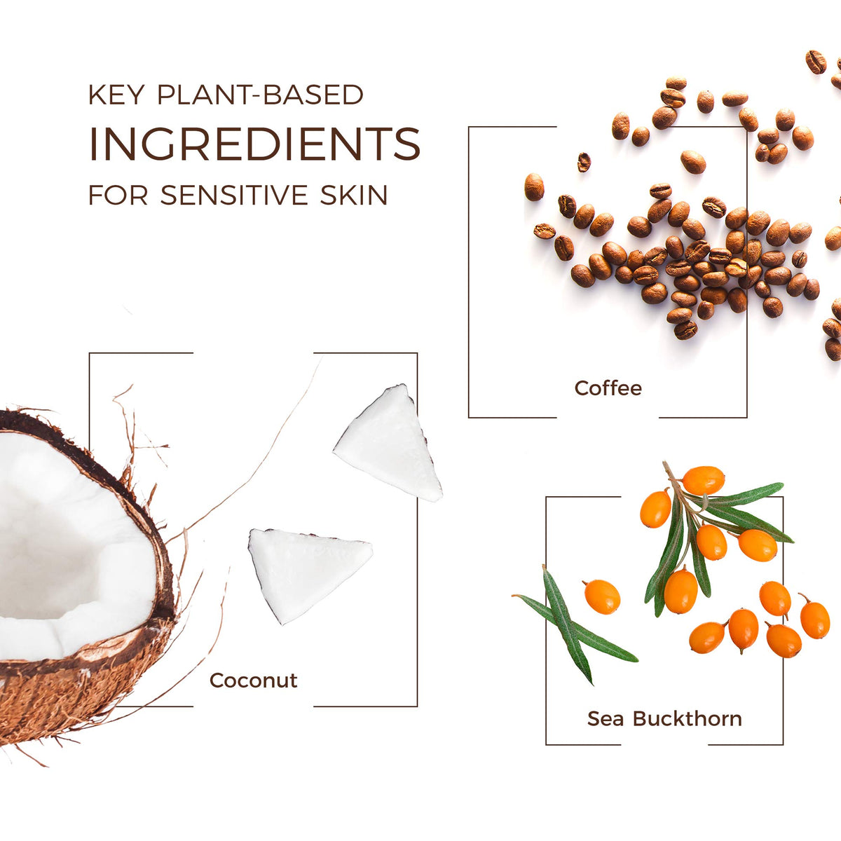 Rosehip oil and botanicals beside Babo Botanicals stick highlighting nourishment