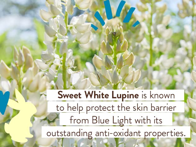 Babo Botanicals applied on skin to demonstrate minimal white cast benefit