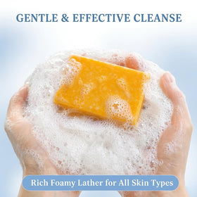 Generic Bacne Out Bar in foaming net applying foam to back for easier reach