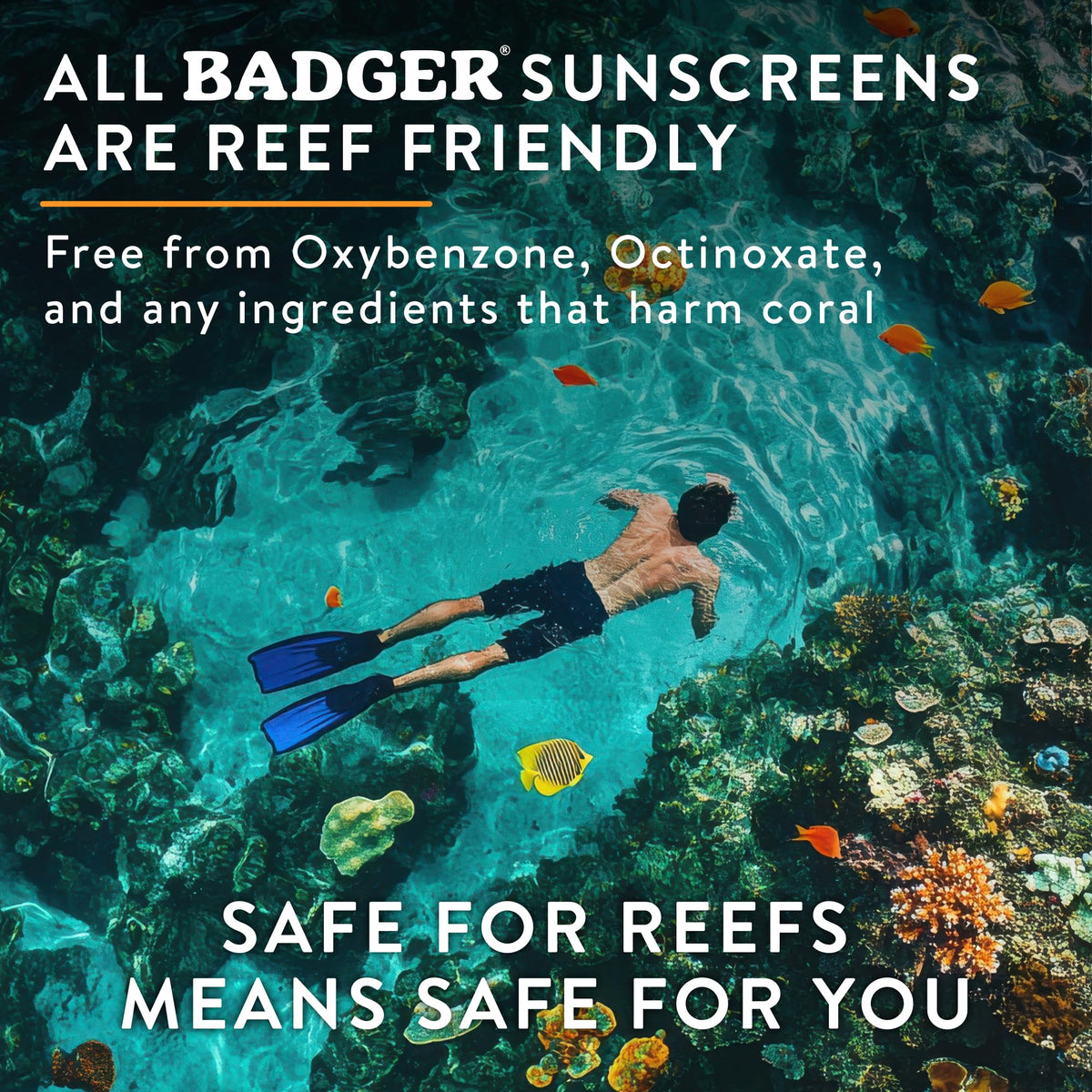 Badger label close-up listing organic ingredients and zinc oxide benefits