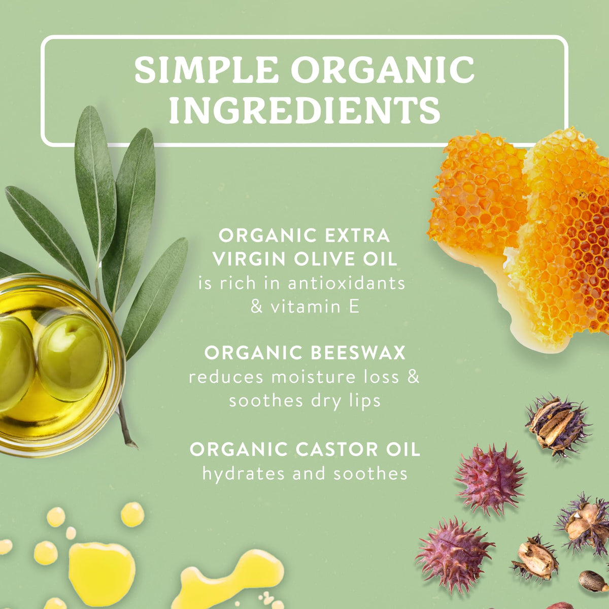 Badger flatlay of organic ingredients highlighting natural formulation