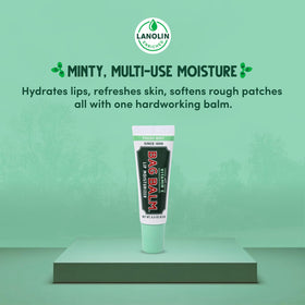Bag Balm four tubes in hand showing pack size and travel-ready benefit