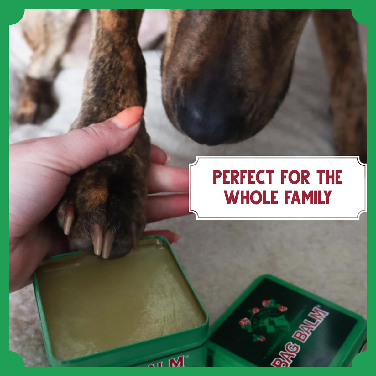 Bag Balm in outdoor setting protecting a dog's paws during walk