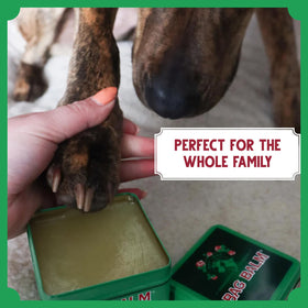 Bag Balm in outdoor setting protecting a dog's paws during walk